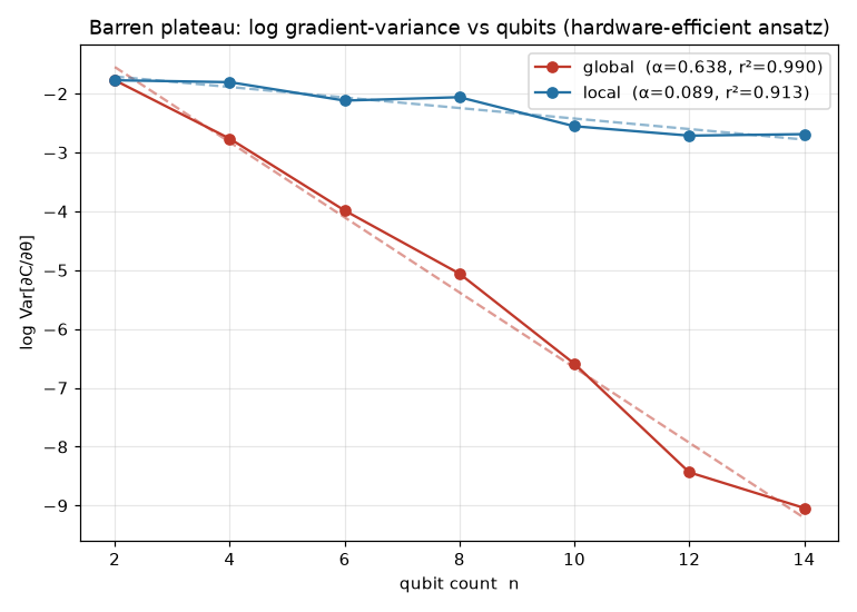 log gradient-variance vs qubits