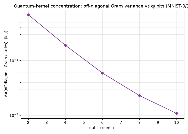 kernel concentration: off-diagonal Gram variance vs qubits